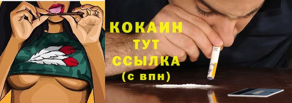 мет Дмитриев