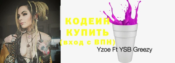 мет Дмитриев